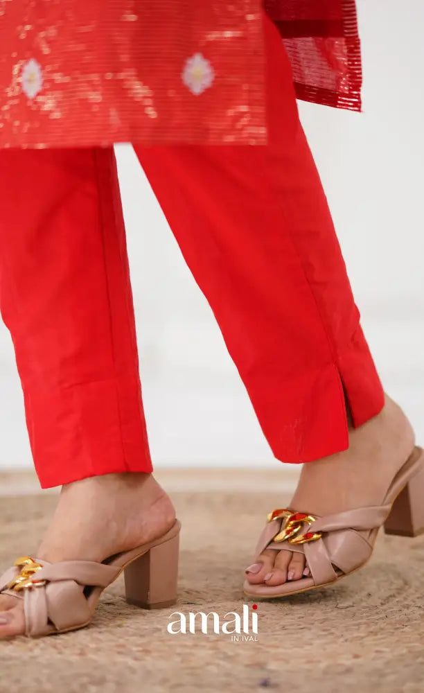 Bavana Banarasi Silk Cotton Salwar - Red salwar