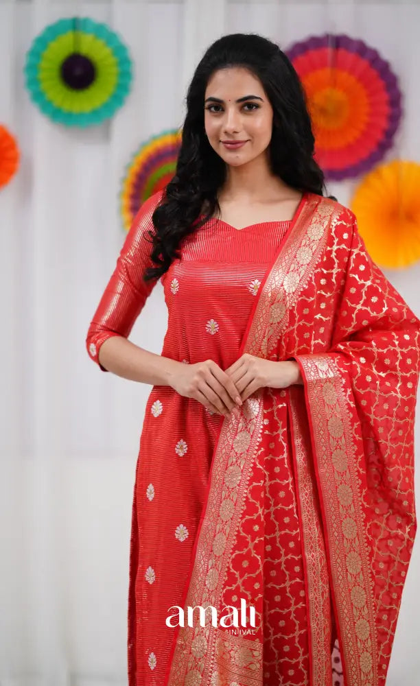 Bavana Banarasi Silk Cotton Salwar - Red salwar