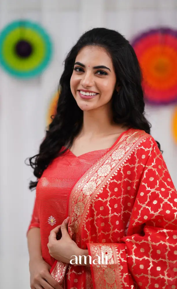 Bavana Banarasi Silk Cotton Salwar - Red salwar