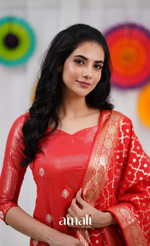 Bavana Banarasi Silk Cotton Salwar - Red salwar