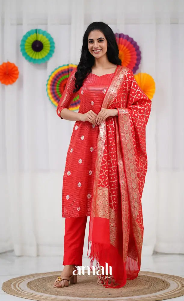 Bavana Banarasi Silk Cotton Salwar - Red salwar
