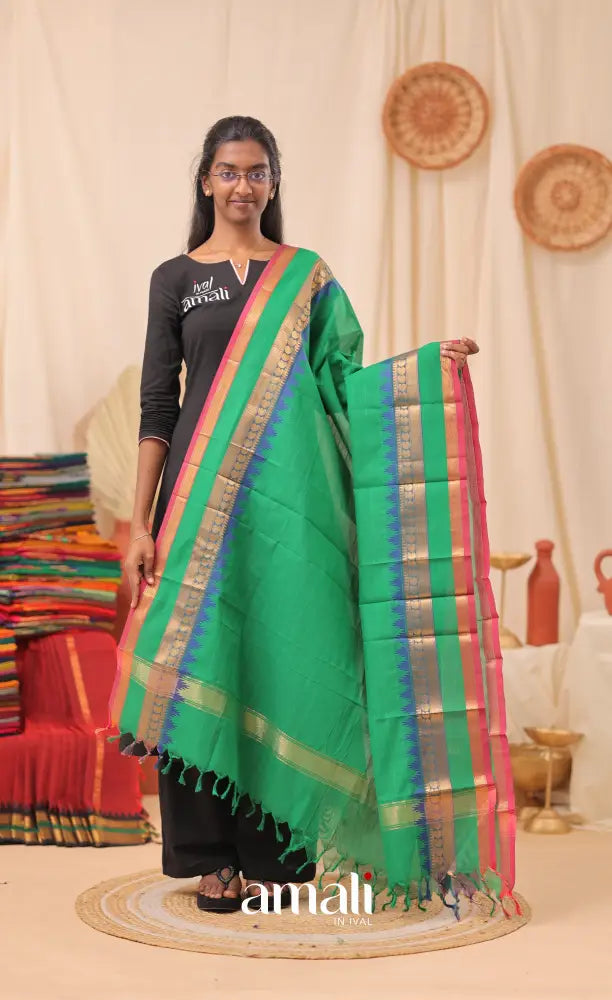 Green Stripes With Multicolours Chettinad Cotton Dupatta salwar