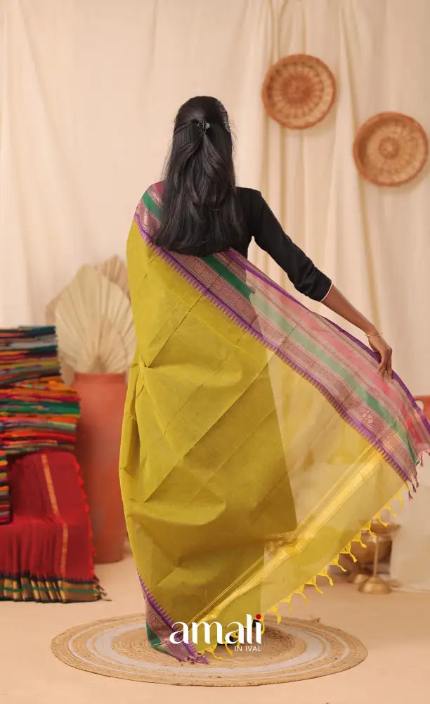 Light Henna Green With Multicolours Chettinad Cotton Dupatta salwar