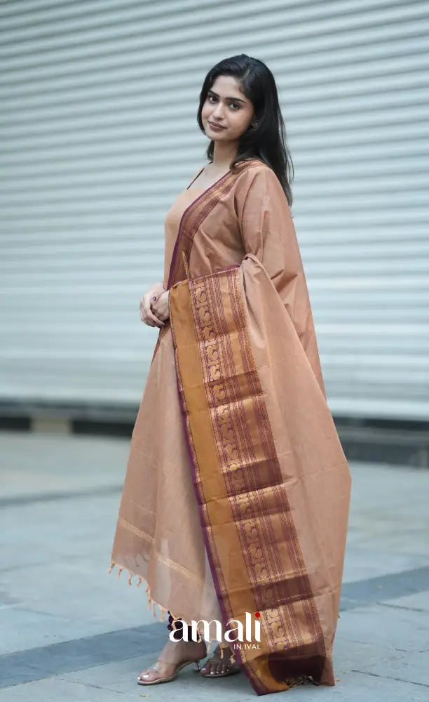 Meera Cotton Salwar - Light Brown and Dark Maroon salwar