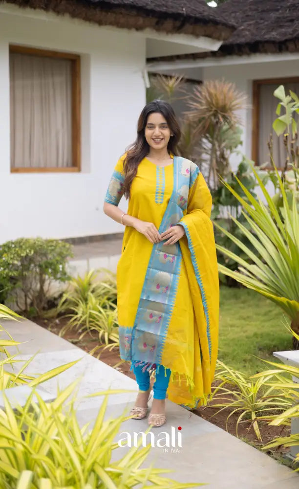 Meera Cotton Salwar Yellow shade and Sky Blue tone Plus Size salwar