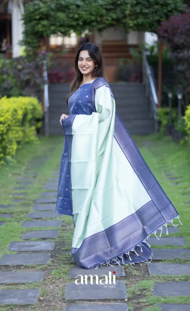 Sanvi Blended Silk Salwar Dark Blue and Light Blue salwar