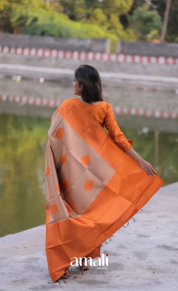 Sanvi Blended Silk Salwar - Orange and Cream salwar