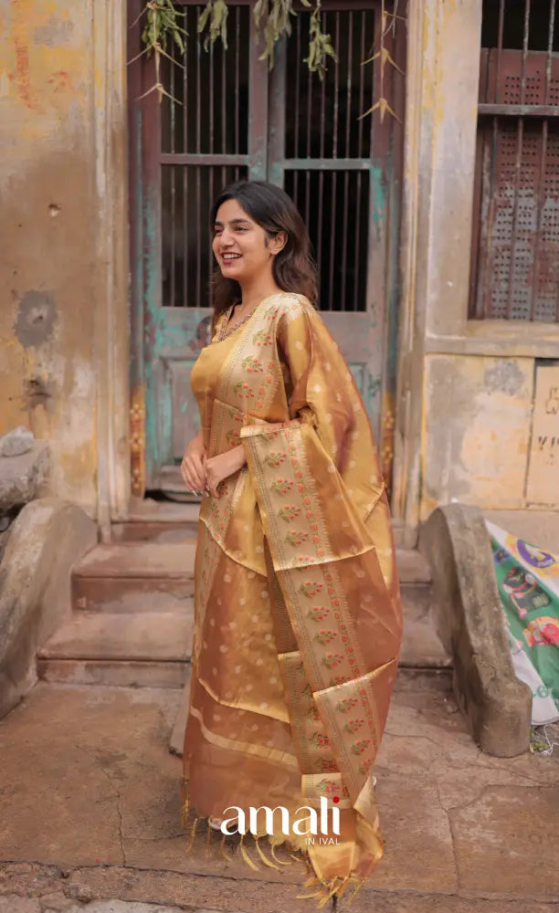 Tara Tissue Salwar - Antique Gold salwar