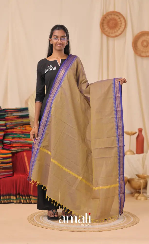 Two-Tone Henna Green With Dark Blue Chettinad Cotton Dupatta salwar